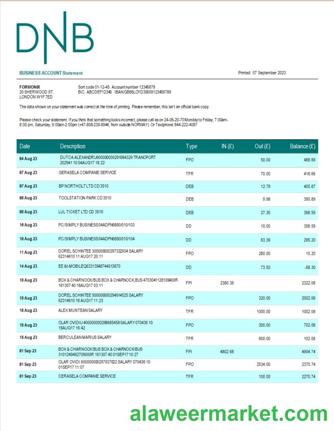 DNB Bank firm account statement Word and PDF template